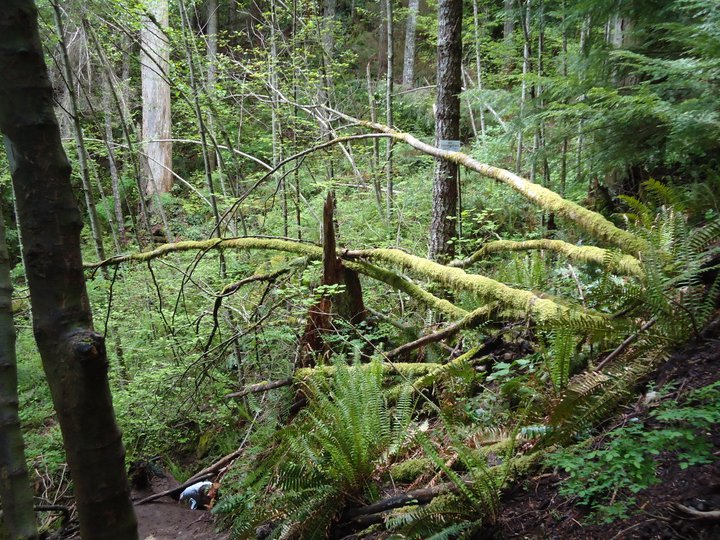 248995_2062424409286_7892163_n